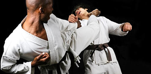 Self Defense Techniques pc screenshot Self Defense Techniques pc screenshot