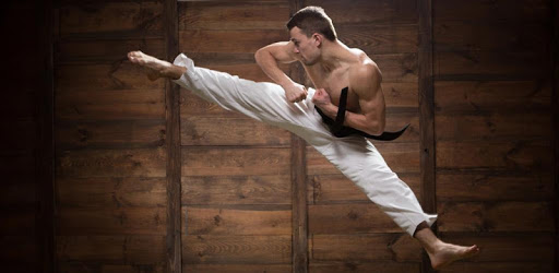 Mastering Taekwondo - Get Black Belt at Home pc screenshot