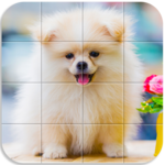Tile Puzzle Pomeranian Dogs icon