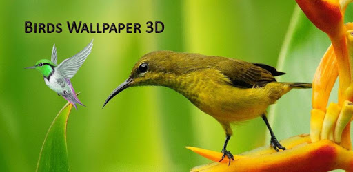 Flying Birds 3d Live wallpaper pc screenshot