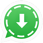 Story Saver For WhatsApp Business - SavezyBiz icon
