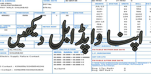 Wapda - Electricity Bill pc screenshot