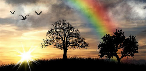 Sun Rise Free Live Wallpaper pc screenshot Sun Rise Free Live Wallpaper pc screenshot