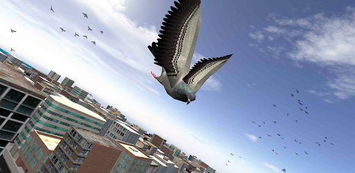 City Bird Fly Simulator 2015 pc screenshot
