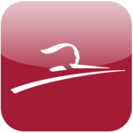Thalys icon