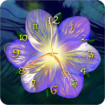 Serene flower clock HD widget icon