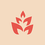 Book of Spices icon