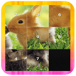 Slide Puzzle - Animal icon