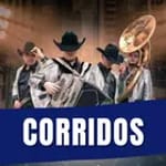 Musica Banda y Corridos icon