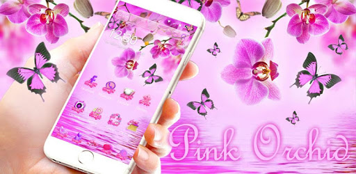 Pink Orchid Theme Wallpaper for PC - How to Install on Windows PC, Mac