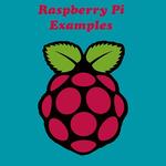 Raspberry Pi Examples for pc icon
