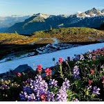 Beautiful Scenery icon