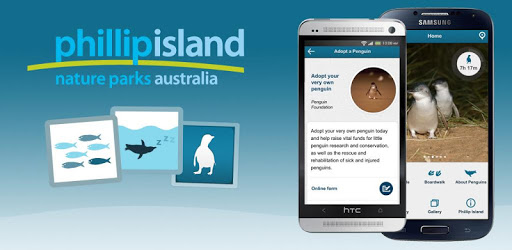Penguin Parade Phillip Island pc screenshot Penguin Parade Phillip Island pc screenshot