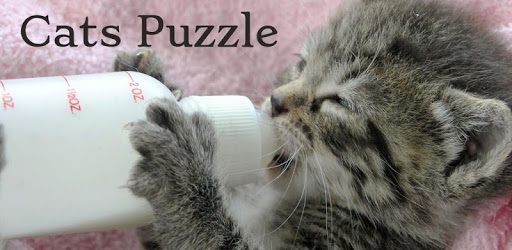 Cats & Kitten Kids Puzzle Game pc screenshot