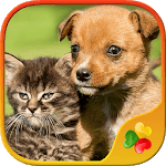 Dogs vs Cats: Kid Puzzle Games icon