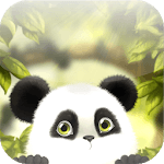 Panda Chub Live Wallpaper Free icon