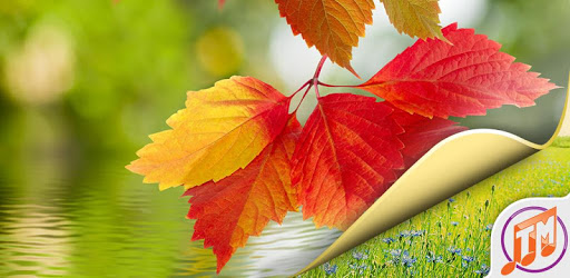 Nature Wallpaper HD Free pc screenshot Nature Wallpaper HD Free pc screenshot
