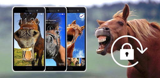 Horses Funny Animals Lock pc screenshot Horses Funny Animals Lock pc screenshot