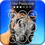 Horses Funny Animals Lock icon