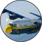 Real Airplane Sounds icon