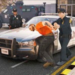 virtual police officer simulator: cops and robbers icon