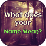 What does your Name Mean icon