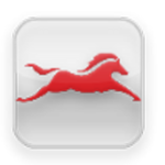 TVSM Service icon