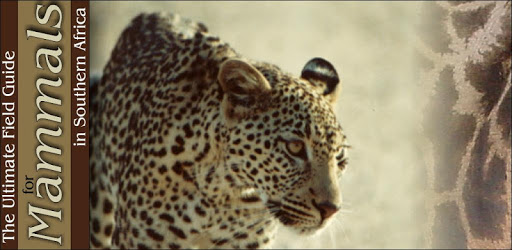 Ultimate Mammals Africa pc screenshot Ultimate Mammals Africa pc screenshot