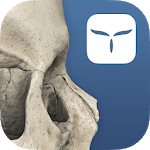 3D Skull Atlas icon