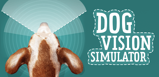 Dog Vision Simulator pc screenshot Dog Vision Simulator pc screenshot