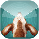 Dog Vision Simulator for pc icon Dog Vision Simulator for pc icon