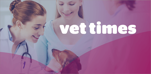 Vet Times pc screenshot