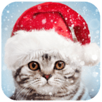 Christmas Photo Frames, Effects & Cards Art 🎄 🎅 icon