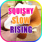 Squishy Slow Rising icon