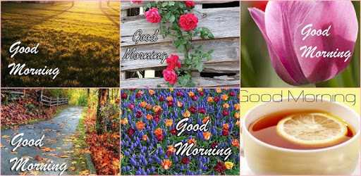 Good Morning Images 2017 pc screenshot Good Morning Images 2017 pc screenshot