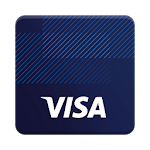 Visa icon