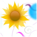 Spiritual Guidance Cards icon