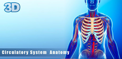 Circulatory System Anatomy pc screenshot Circulatory System Anatomy pc screenshot