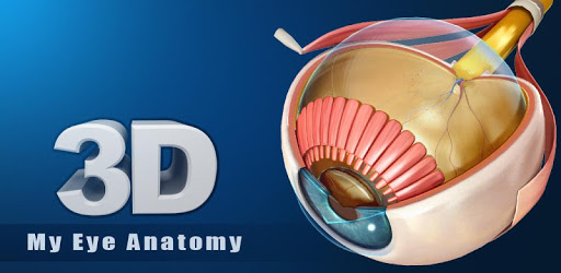 My Eye Anatomy pc screenshot My Eye Anatomy pc screenshot