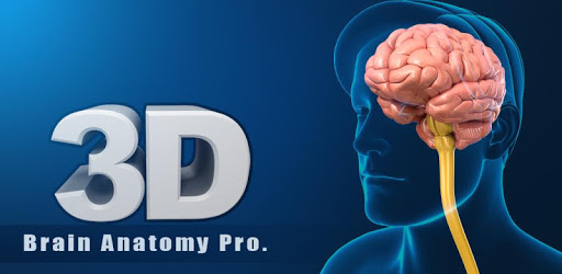 Brain Anatomy Pro. pc screenshot Brain Anatomy Pro. pc screenshot