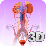Urinary System Pro. icon