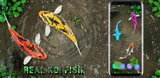 Fish Live Wallpaper Free: Aquarium Background 2018 pc screenshot Fish Live Wallpaper Free: Aquarium Background 2018 pc screenshot