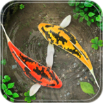 Fish Live Wallpaper Free: Aquarium Background 2018 icon