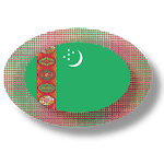 Turkmen apps and tech news icon