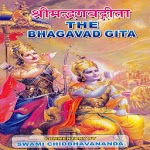 The Bhagavad Gita in English icon