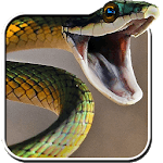 Snake Live Wallpaper PRO Free icon