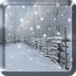 Winter Snow Live Wallpaper PRO icon