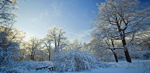 Winter Snow LWP HD (PRO) pc screenshot Winter Snow LWP HD (PRO) pc screenshot