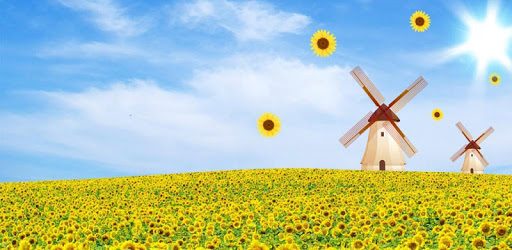 Sunflower Live Wallpaper FREE pc screenshot