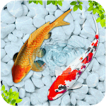 Fish 3D Live Wallpaper 2018 - Koi Wallpaper icon